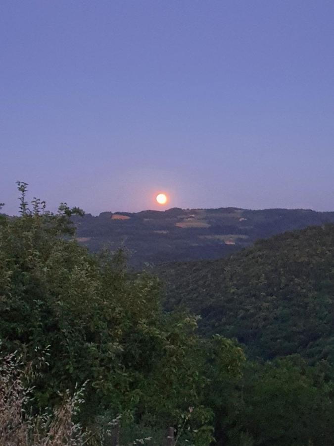Cascina Brichat Alta Langa Serravalle delle Langhe 外观 照片